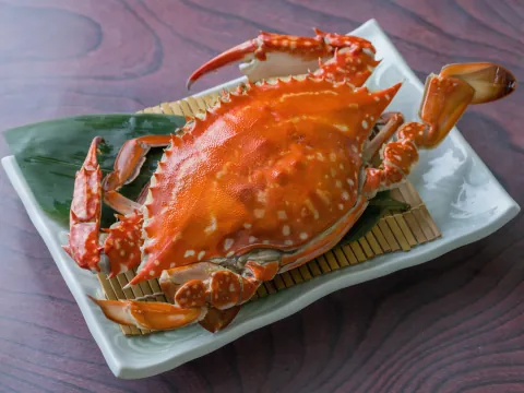 竹崎かに